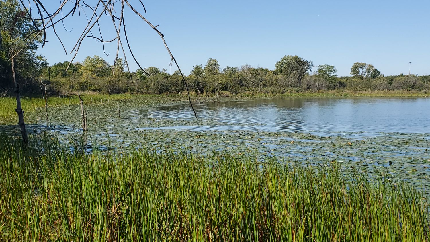 Sag Valley Trail System 